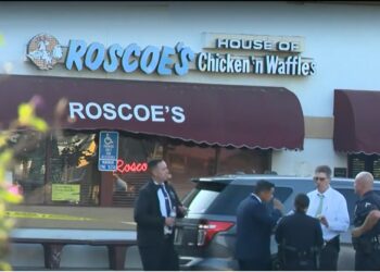Rapper PnB Rock shot to death amid robbery at LA Roscoe's Chicken & Waffles restaurant